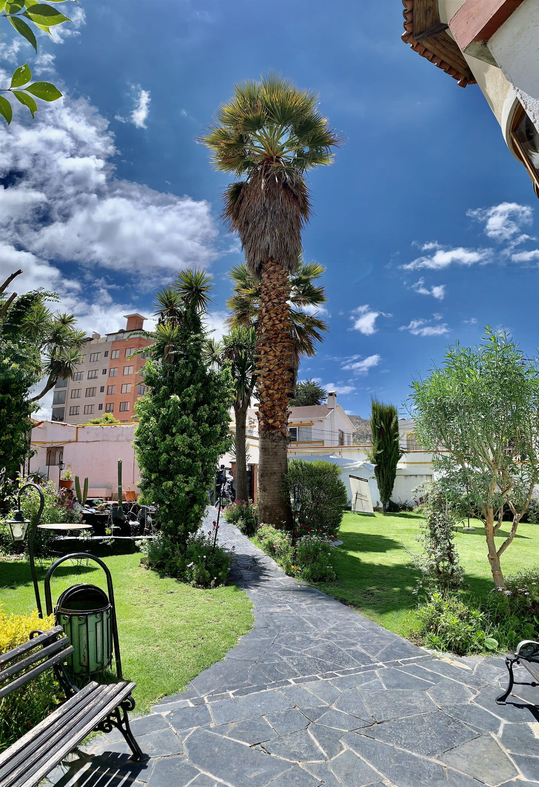 Flagstone garden path lined with palms and iron benches, finished by the Reborn group